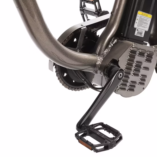 China 750W Fat Tire Electric Bicycle Ebike for Man with Full Suspension